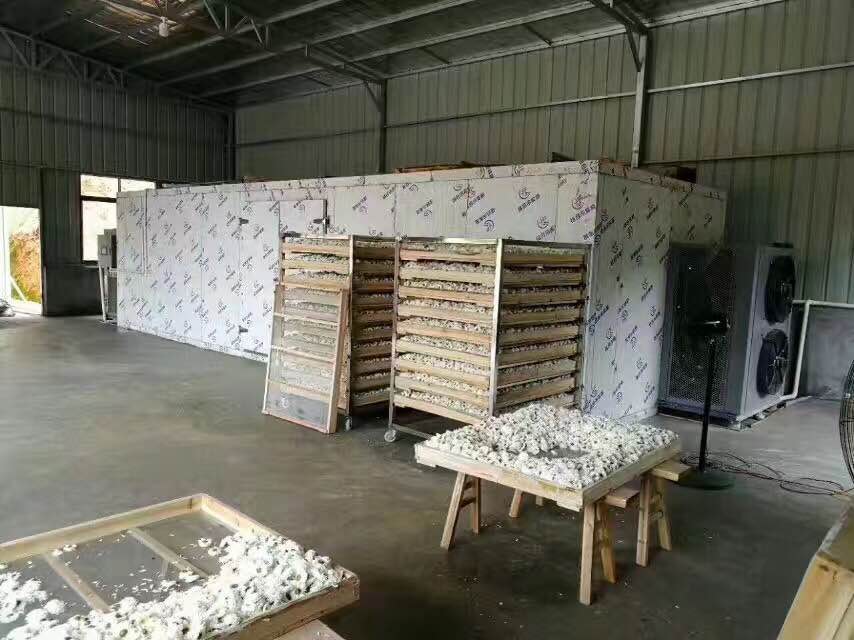 新鄉(xiāng)金銀花烘干機
